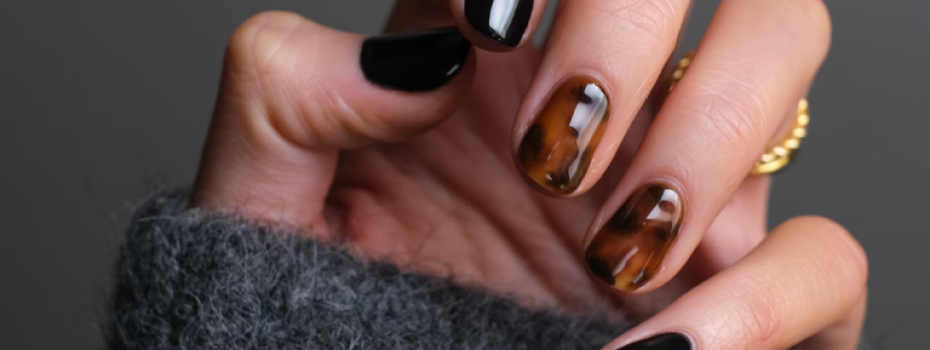 Daily Post | Salon Industries