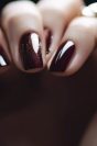 Daily Post | Salon Industries